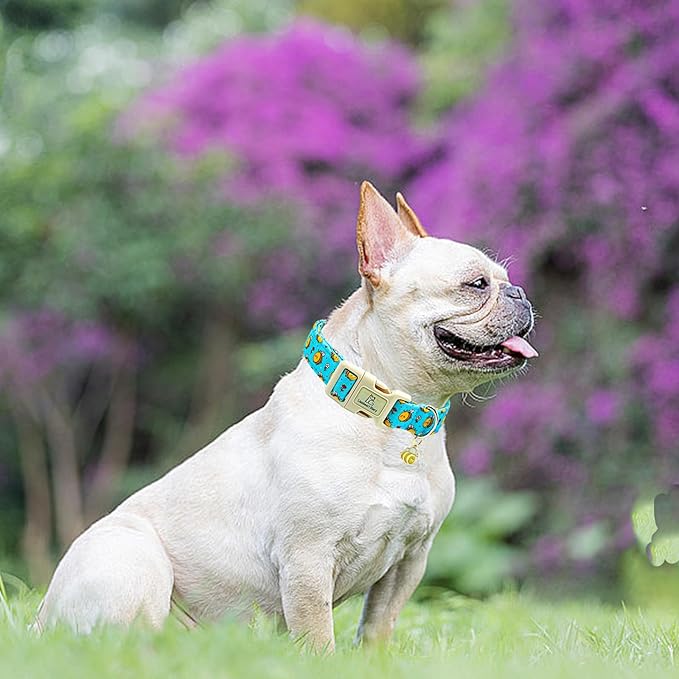 Lionheart glory Dog Collar, Bees Blue Dogs Collar Adjustable Soft Comfortable Collars for Medium Dogs Girl or Boy Pet Gift Cute Spring Summer Collar