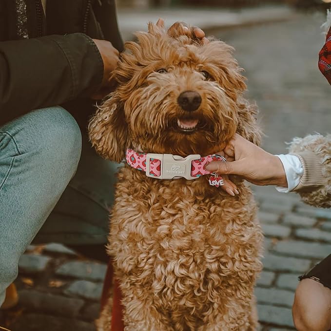 Valentine's Day Dog Collar - Cute Pink Valentines Dog Collar Girl Boy Durable Adjustable Spade Heart Pattern Charm Dog Collars for Small Medium Large Dogs XS