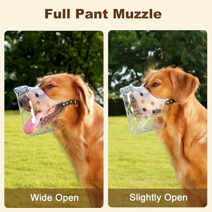 Mayerzon Dog Muzzle, Basket Muzzle for Large Medium Small Dogs, Humane Cage Mouth Guard to Prevent Biting Chewing Eating, Breathable Muzzle for Grooming Training Walking Vet Visits (M, Clear)