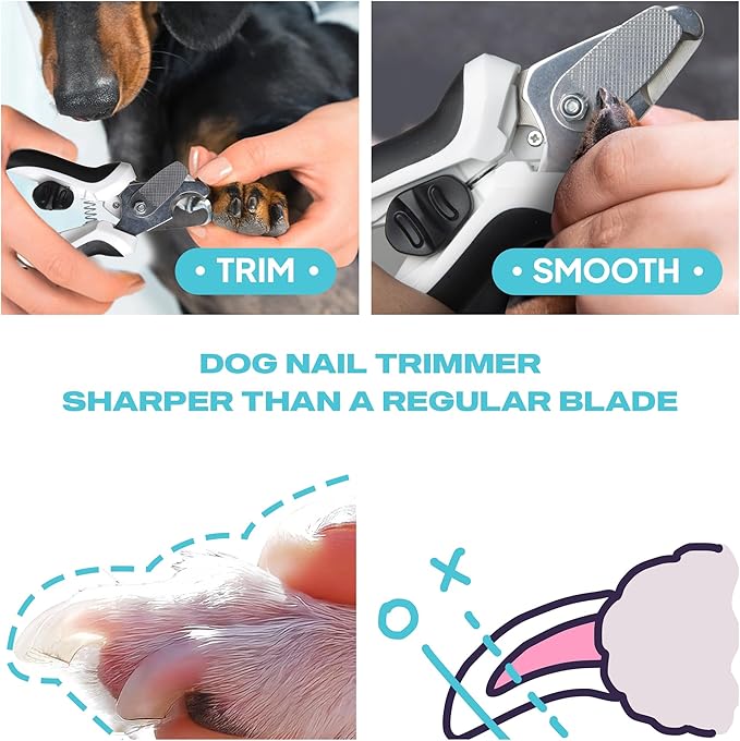TwoEar Dog Nail Clippers with Light, Dog Nail Trimmers with Quick Sensor & Safety Guard, Razor Sharp Blade, LED Pet Nail Clippers/Dog Toenail Clippers for Medium Large Dogs, Black