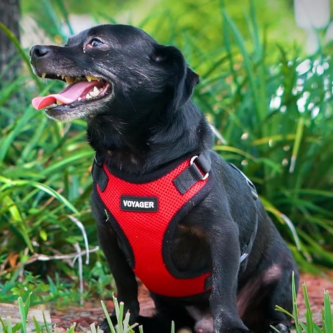 Voyager Step-in Lock Pet Harness - All Weather Mesh, Adjustable Step in Harness for Cats and Dogs by Best Pet Supplies - Red/Black Trim, XL