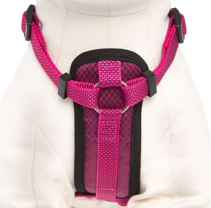 KONG Comfort Padded Chest Plate Dog Harness offered by Barker Brands Inc(Medium, Pink).