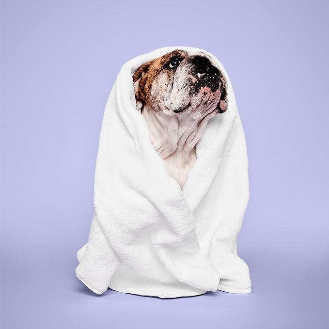 Calming Lavender Mint Shampoo, Botanical-Infused Dog Shampoo, 16.9 fl. Oz