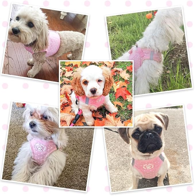 BINGPET Vest Harness for Puppy and Cat, No Pull Adjustable Reflective Step-in Puppy Harness Cute Pink Polka Dot Soft Dog Harness for Small and Medium Dogs
