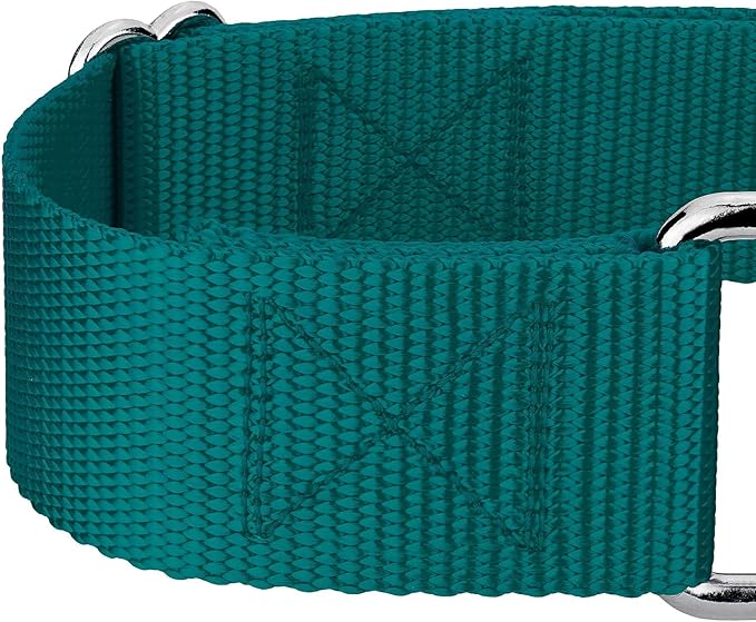 Country Brook Petz 1 1/2 Inch Martingale Heavy Duty Nylon Adjustable Dog Collar for Small, Medium, Large Breeds - Vibrant 17 Color Selection (Teal, Extra Large)
