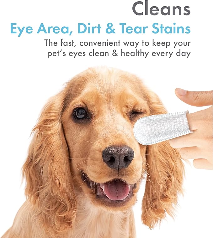 Petkin Fingertip Eye Wipes for Dogs and Cats, 50 Finger Wipes - Slip-On, Snug Fit, Micro-Bristle Fabric - Cleans Eye Area, Dirt and Tear Stains - Convenient, Ideal for Home and Travel - No Scent