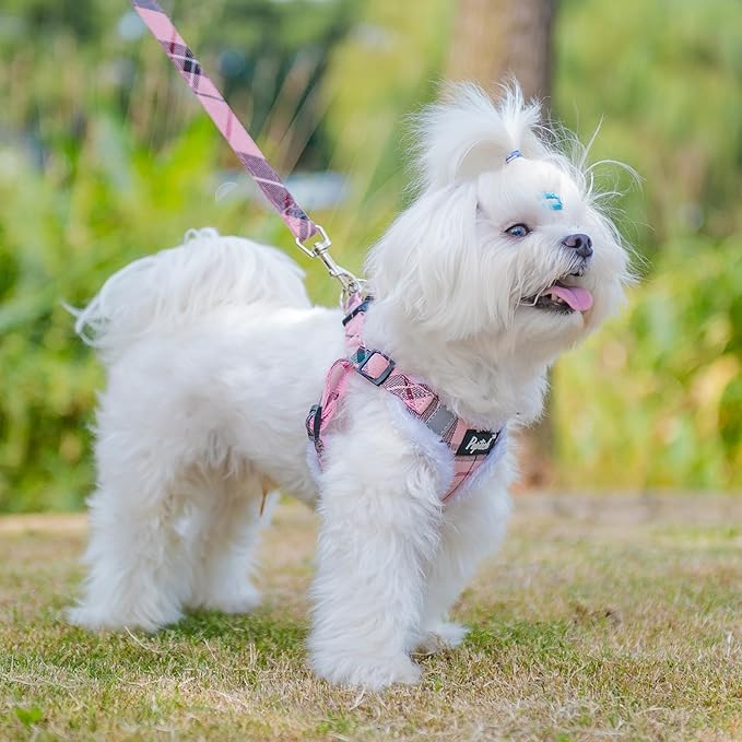 PUPTECK No Pull Dog Harness and Leash Set Reflective No Choke Step in Puppy Halter for XS Small and Medium Sized Dogs, Pink Plaid, Plush, M