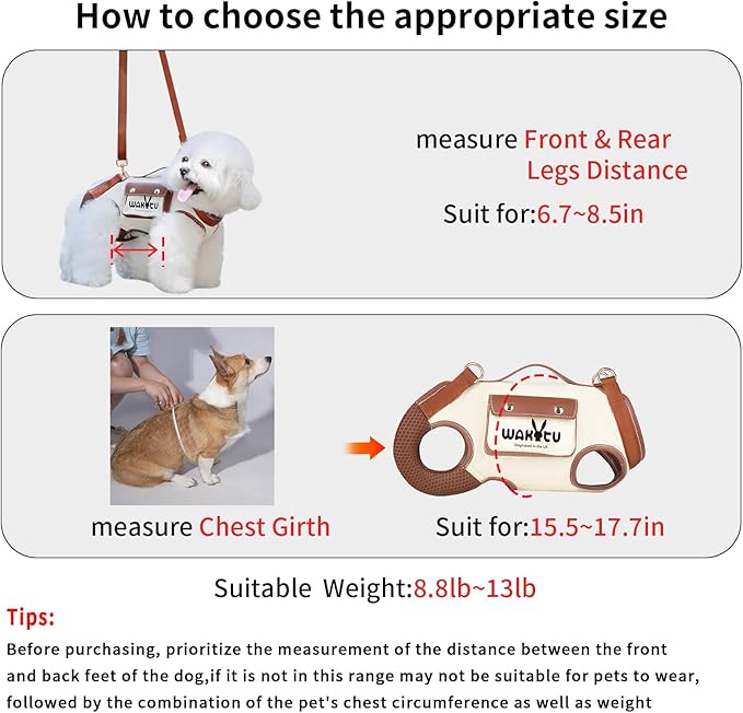 Dog Lift Harness Dog Carrier Dog VES Harness Adjustable Dog Leash with Small Puppy Treat Bag,Fits Most Cars,M