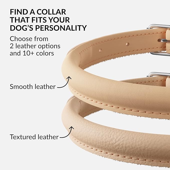 CollarDirect Rolled Leather Dog Collar, Soft Padded Round Puppy Collar, Handmade Genuine Leather Collar Dog Small Large Cat Collars 13 Colors (7-9 Inch, Beige Smooth)