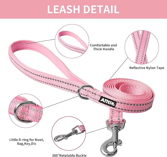 AIITLE Easy Walk Dog Harness and Leash Set - Pet Supply No Pull, Step in Adjustable Dog Harness with Padded Vest for Spring, Dog Harness No Choke Over, Easy to Put on Medium Dogs Pink L
