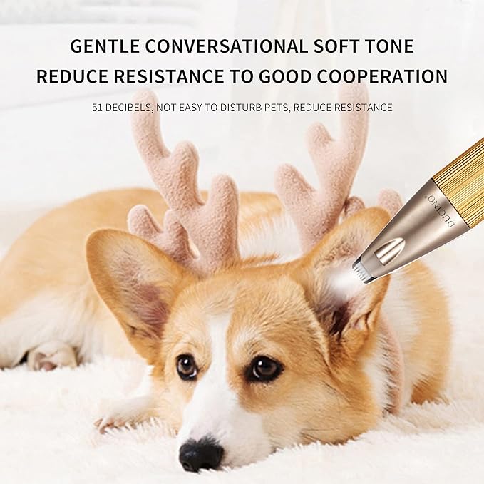 Dog Clippers and Paw Trimmer Kit, Pomeranian Corgi Low Noise Cordless Dog Clippers for Grooming Pet Hair Trimmers for Small Cats Animals, with LED, USB Rechargeable Professional Pet Grooming Kit