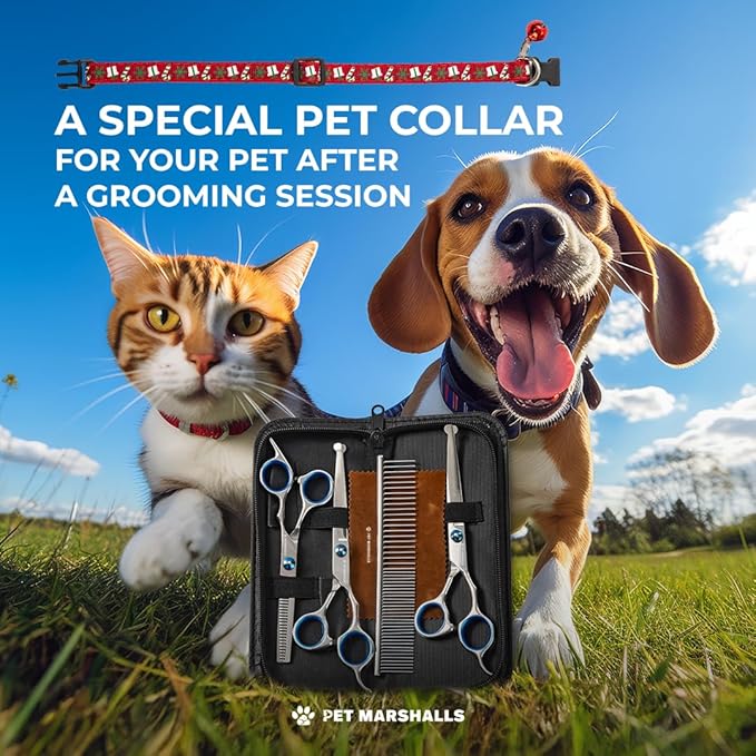 Professional Pet Grooming Scissors Set, 5-in-1 Stainless Steel Kit with Comb