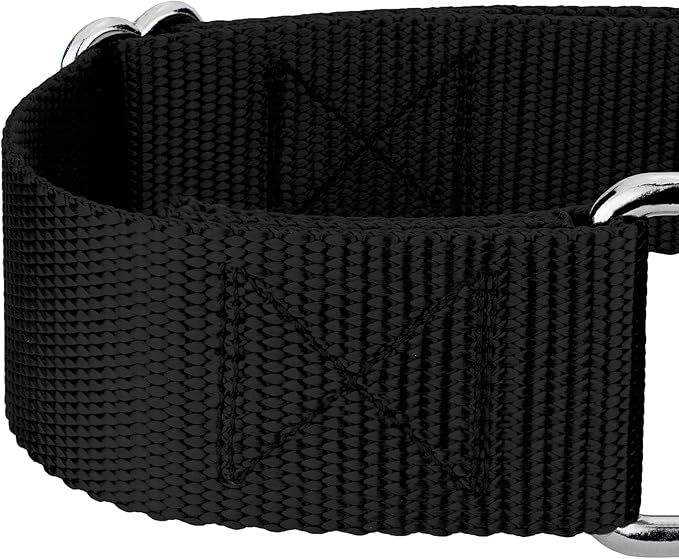 Country Brook Petz 1 1/2 Inch Martingale Heavy Duty Nylon Adjustable Dog Collar for Small, Medium, Large Breeds - Vibrant 17 Color Selection (Black, Medium)
