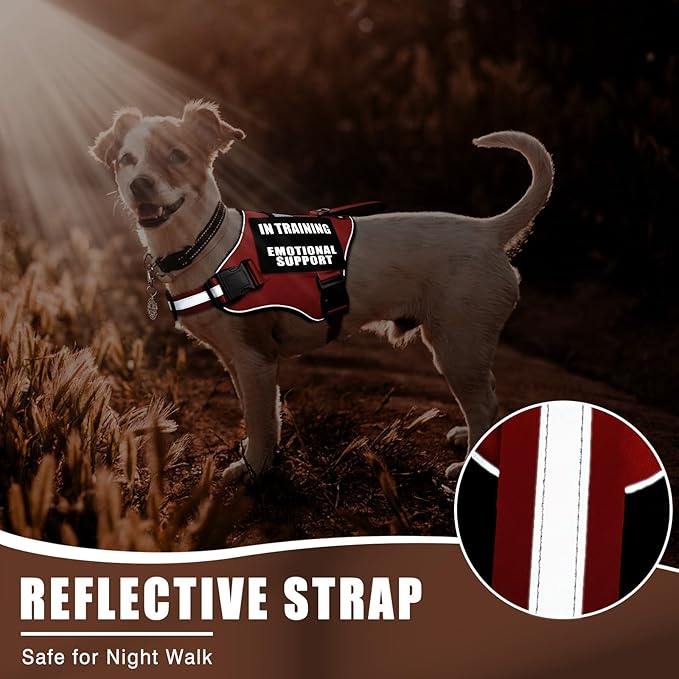 Service Dog Vest Harness+ID Tag+10 Patches,Metal Serivce Dog Tag&Reflective Emotional Support Dog Vest with Handle for Small Dogs,Easy Put On/Off for Training/Walking/Everyday Red XS