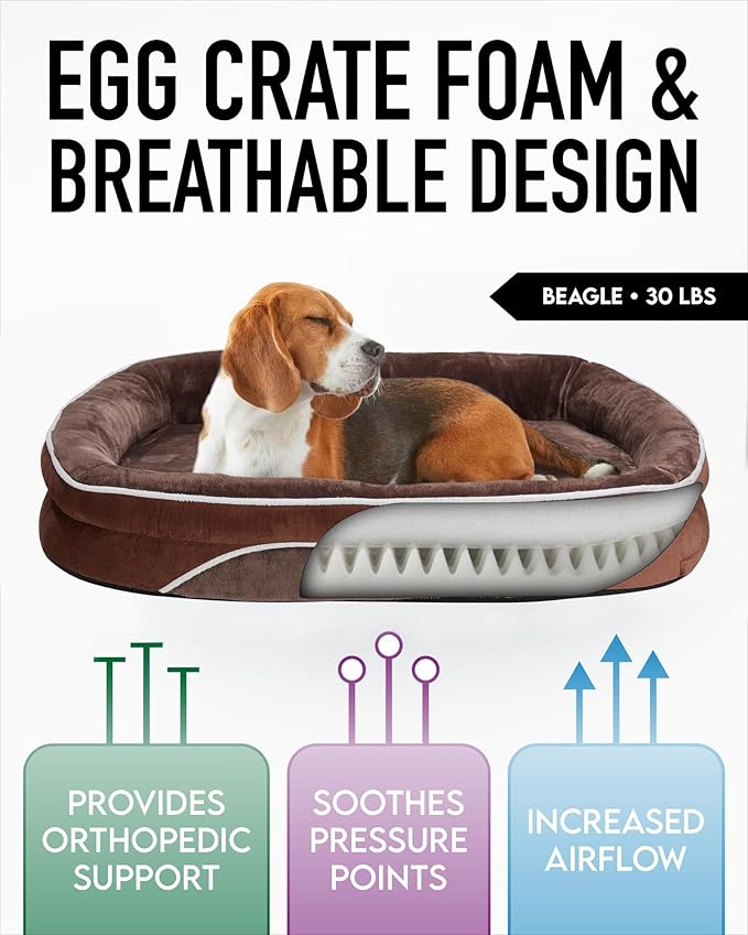 OhGeni Orthopedic Dog Bed for Large Dogs, Dog Couch Design with Egg Foam Support, Removable, Machine Washable Plush Cover and Non-Slip Bottom with Four Sided Bolster Cushion (Brown)