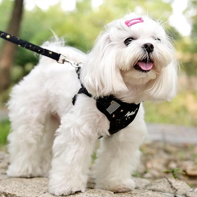 PUPTECK No Pull Dog Harness and Leash Set Reflective No Choke Step in Puppy Halter for XS Small and Medium Sized Dogs, Black, Printed Fabric, XS