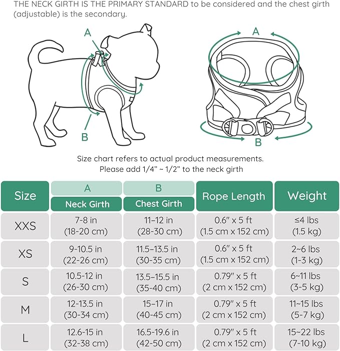 BELLA & PAL Small Emerald Dog Harness with Leash Set, No Pull, Step in Design, Reflective, Lightweight Mesh, S