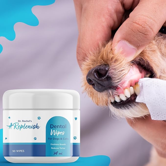Replenish Dental Wipes for Dogs and Cats - Dog Teeth Cleaning Wipes - Pet Dental Finger Wipes for Dogs β Easy to Use Gentle Pet Dental Wipes - Effective Dog Teeth Cleaner - 50 Count