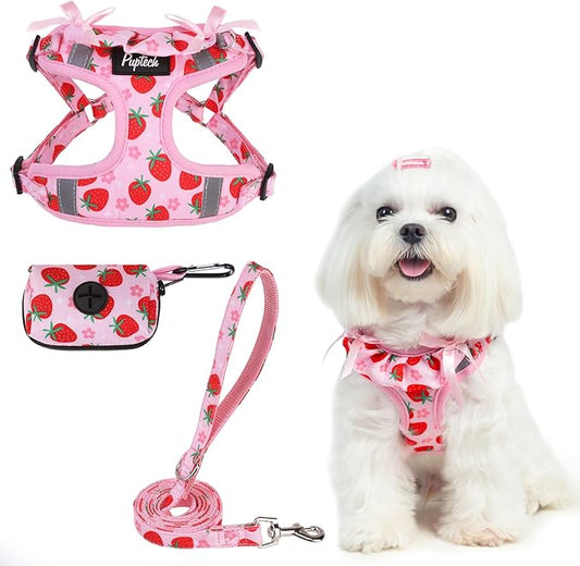 PUPTECK No Pull Dog Harness and Leash Set Reflective No Choke Step in Puppy Halter for XS Small and Medium Sized Dogs, Pink, Printed Fabric, XS