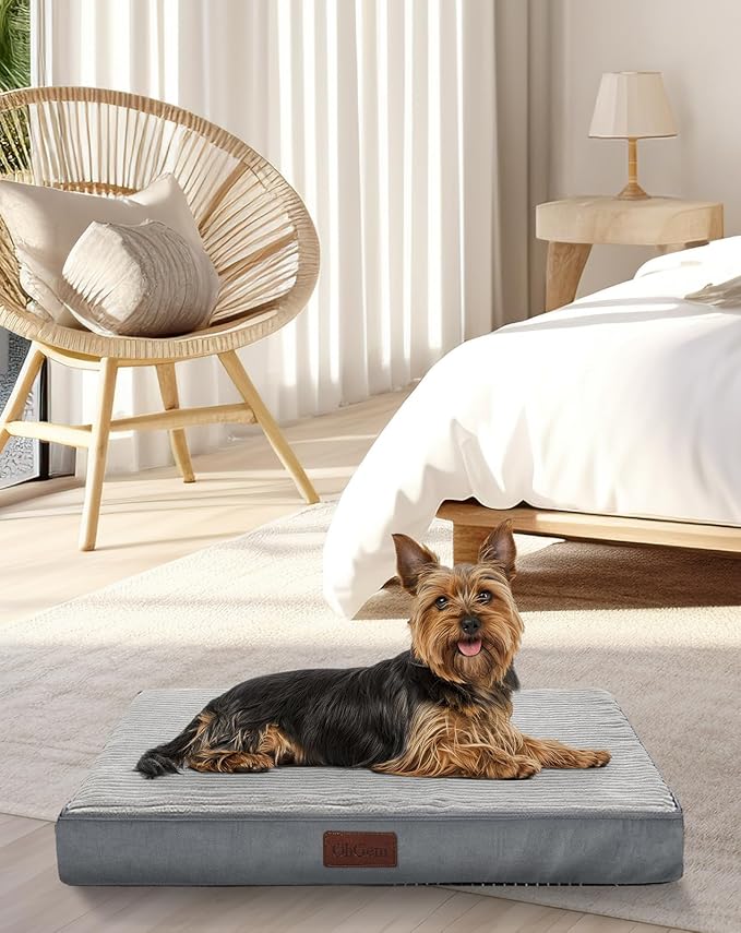 OhGeni 24 Inch Orthopedic Waterproof & Machine Washable Dog Bed with Egg Crate Foam Support, Non-Slip Bottom and Removable Pet Bed Cover for Extra Large, Large, Medium, Small Dogs (Gray)