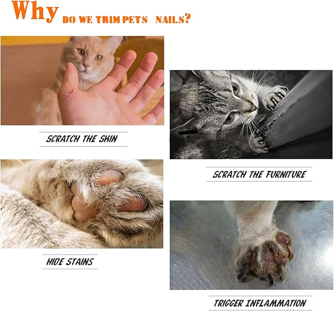 Pet Cut Nail Clippers for Small Medium Animals Cat Dog Claw Trimmer Home Grooming - Stainless Steel Kit Tool for Tiny Bunny Rabbit Bird Puppy Kitten Ferret