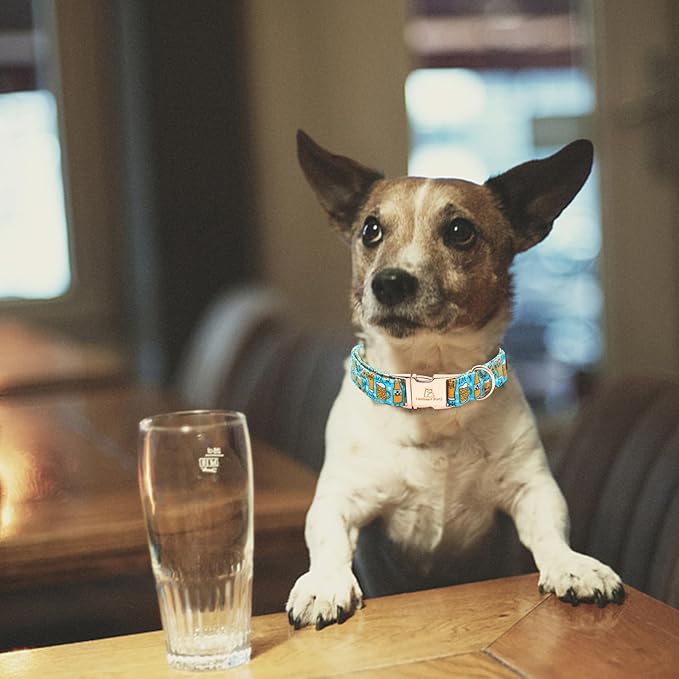 Lionheart glory Dog Collar Blue Dog Collar Summer Dog Collar Party Collar Dog Boy or Girl Soft Durable Adjustable Dog Collars for Large Dogs