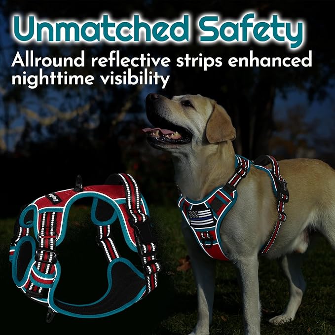 Eagloo Dog Harness for Large Dogs, Easy Wearing with 3 Buckles, Adjustable No Pull Pet Harness with 2 Rings for Walking, No Chock Reflective Soft Padded Vest with Control Handle, Red & Teal, L