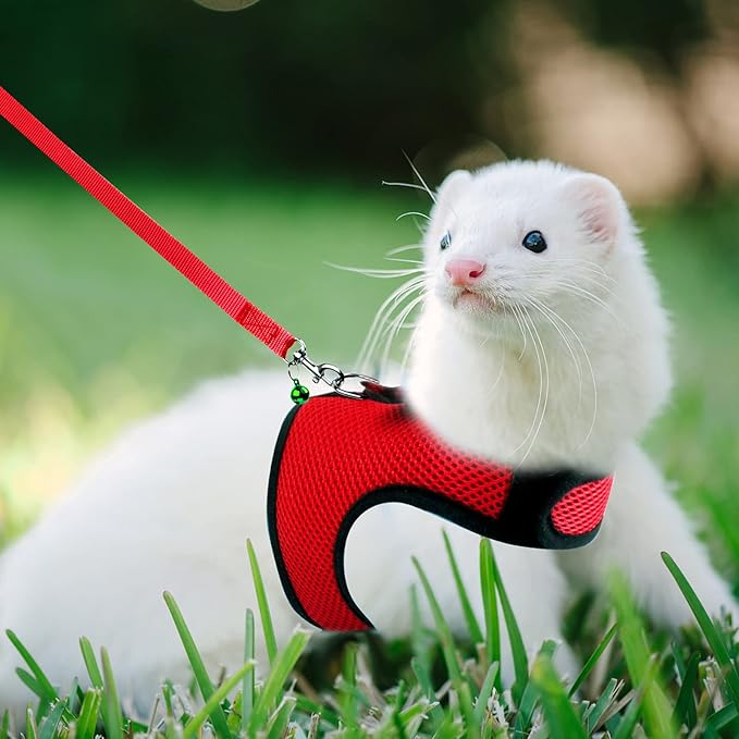 Rypet Small Animal Harness and Leash - Soft Mesh Small Pet Harness with Safe Bell, No Pull Comfort Padded Vest for Small Pet Red M