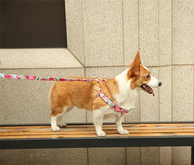 Unique style paws Dog Harness Adjustable Harnesses Durable Hardware with Comfortable Bowtie for Small Medium Large Dogs