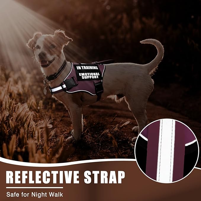 Service Dog Vest Harness+ID Tag+10 Patches,Metal Serivce Dog Tag&Reflective Emotional Support Dog Vest with Handle for Small Dogs,Easy Put On/Off for Training/Walking/Everyday Pink XS