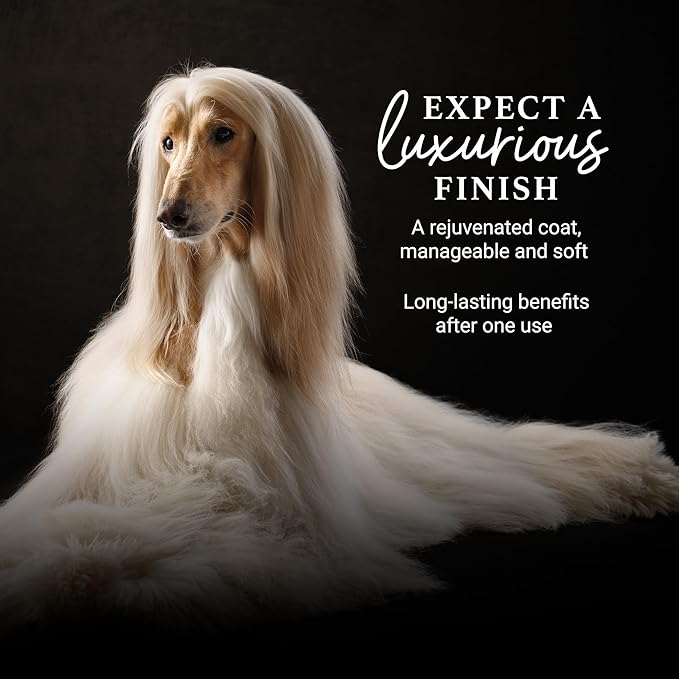 iGroom Deshedding & Detangling Dog Conditioner, Luxury Pet Beauty Care, Loosen Tangles + Unwanted Undercoat, Adds Shine + Volume, Made in USA (16 OZ)