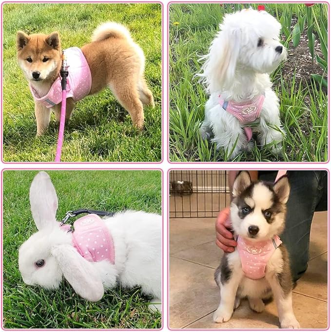 BINGPET Vest Harness for Puppy and Cat, No Pull Adjustable Reflective Step-in Puppy Harness Cute Pink Polka Dot Soft Dog Harness for Small and Medium Dogs