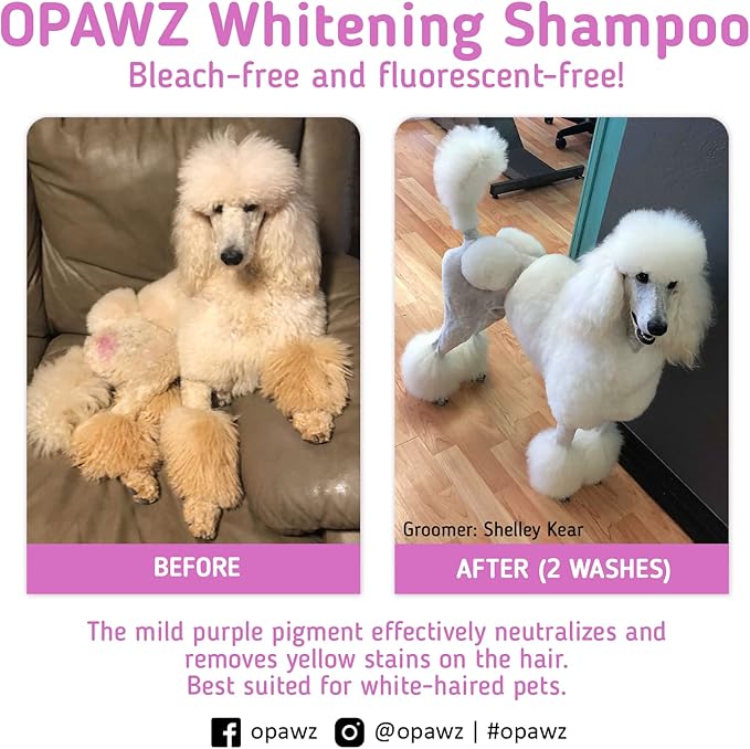 OPAWZ 05 Whitening Purple Shampoo for Dog and Cat, Safely Remove Yellow Stains, with No Bleach, Peroxide and Sulfate, Professional Groomers Recommended Product, 16.9 oz