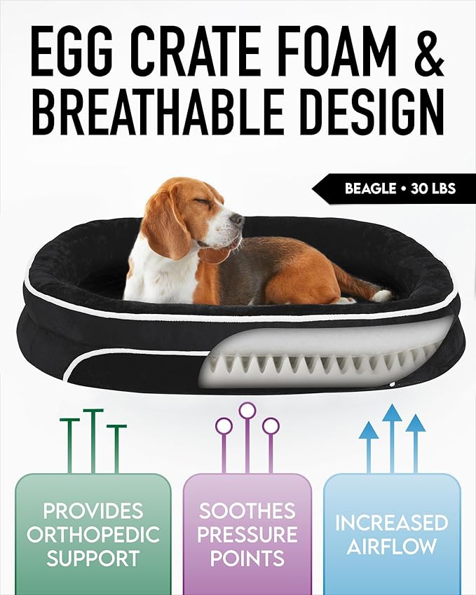 OhGeni Orthopedic Dog Bed for Large Dogs, Dog Couch Design with Egg Foam Support, Removable, Machine Washable Plush Cover and Non-Slip Bottom with Four Sided Bolster Cushion (Black)