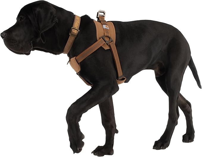 Carhartt Nylon Duck Training Dog Harness, Carhartt Brown, Small