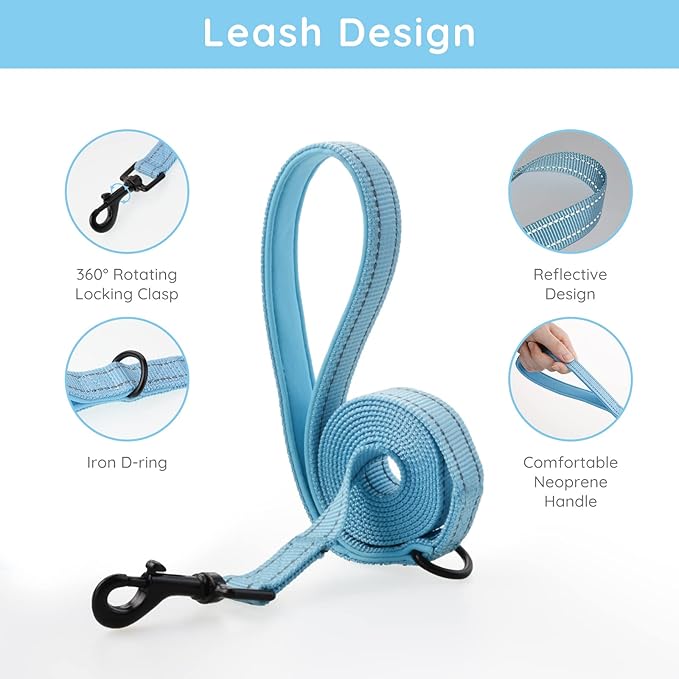 BELLA & PAL Puppy Harness with Leash Set, Dog Harness for Small Dogs No Pull, Dog Leash for Small Dogs, Step in Harness for Extra Small Dogs, Blue Harness, L
