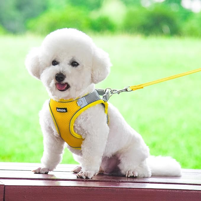AIITLE Easy Walk Dog Harness and Leash Set - Pet Supply No Pull, Step in Adjustable Dog Harness with Padded Vest for Spring, Dog Harness No Choke Over, Easy to Put on Medium Dogs Yellow L
