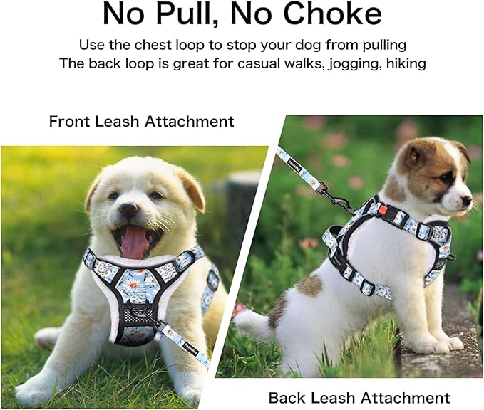 Petmolico Floral Dog Harness and Leash, No Pull Fleece Dog Harness with 2 Leash Clips and Easy Control Handle for Small Dogs, Small Daisy
