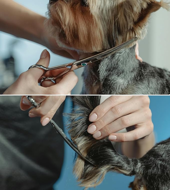 Dog Grooming Curved Scissors 7 inch Professional Pet Shears Made Of Japanese Advanced Stainless Steel Professional Grooming Scissors for Dogs Cats and Other Pets