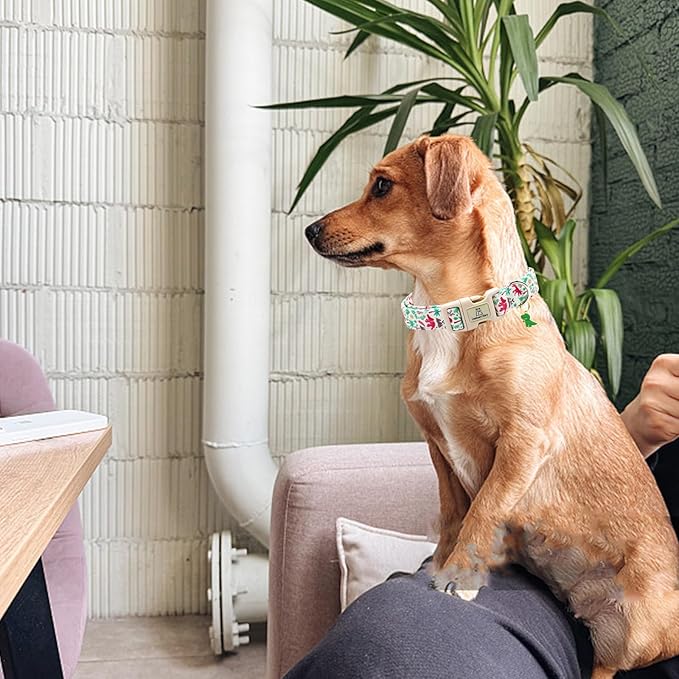 Lionheart glory Dog Collar, Dinosaurs Print Dogs Collar Adjustable Soft Comfortable Collars for Small Dogs Girl or Boy Pet Gift Cute Spring Summer Collar