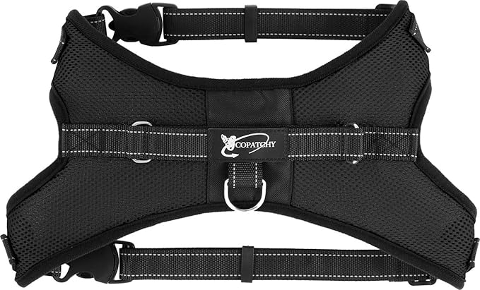 No Pull Reflective Adjustable Dog Harness With Handle- Comfortable Soft All Weather Mesh, Easy On Puppy Harness For Small Medium and Large Dogs (Black) X-Large