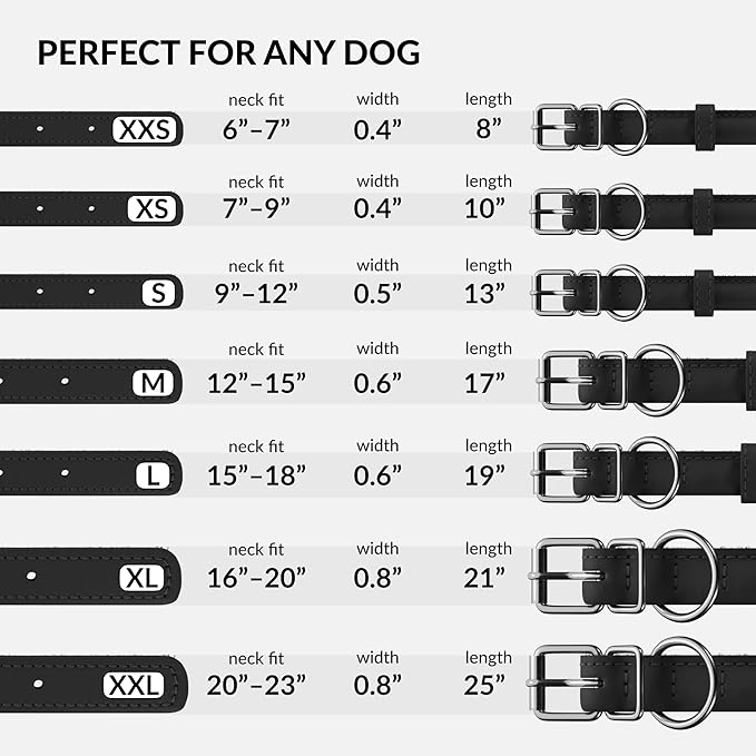 CollarDirect Rolled Leather Dog Collar, Soft Padded Round Puppy Collar, Handmade Genuine Leather Collar Dog Small Large Cat Collars 13 Colors (8-11 Inch, Black Smooth)