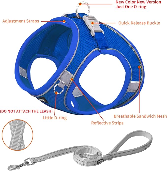 AIITLE Easy Walk Dog Harness and Leash Set - Pet Supply No Pull, Step in Adjustable Dog Harness with Padded Vest for Spring, Dog Harness No Choke Over, Easy to Put on Medium Dogs Royal Blue L