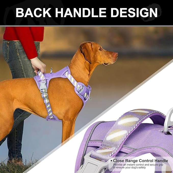 No Pull Dog Harness and Leash Set,Reflective Dog Harness with Easy Control Soft Handle,Adjustable and Comfortable for Easy Walking,Fit Small Medium Large Breed Dogs,Purple,M