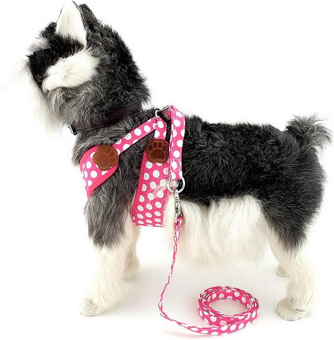 SMALLLEE_LUCKY_STORE New Soft Mesh Nylon Vest Polka Dot Pet Cat Small Medium Dog Harness Dog Leash Set Leads Pink L