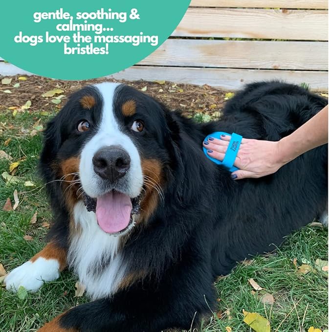 Mighty Mutt Pet Grooming Brush | Rubber Soft Bristles for Deep Cleaning | Massage Brush for Dogs and Cats | 1 pc