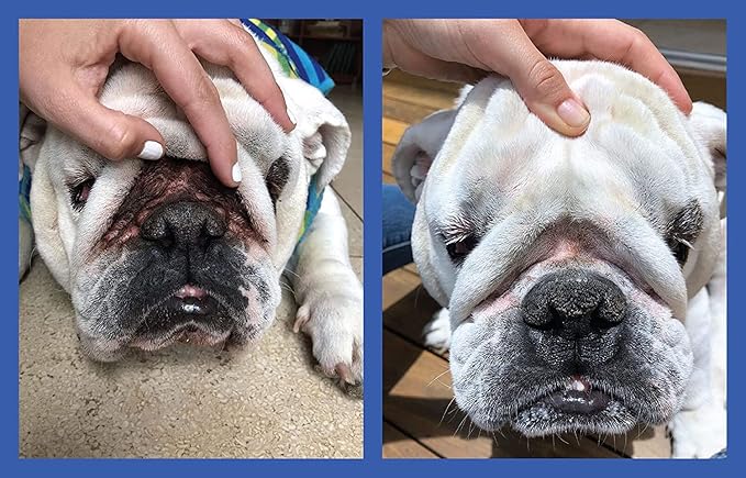 Squishface Wrinkle Wipes – 5”x7” Large Dog Wipes - Deodorizing, Tear Stain Remover – Great for English Bulldog, Pugs, Frenchie, Bulldogs, French Bulldogs & Any Breed! (80 Count)
