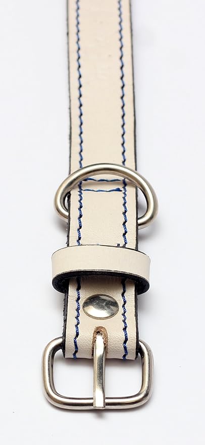 Premium Leather Collars with Stainless Steel Buckles (9"-12", White)