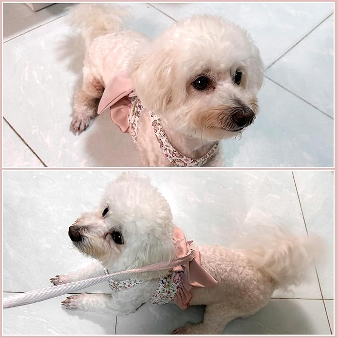 Small Medium Size Dog Harness and Leash Set with Bow Knot,No Pull Pet Floral Harnesses with D-Ring Soft Mesh Dog Harness Vest Set Escape Proof Harness for Dogs Cats Girl or Boy (L)