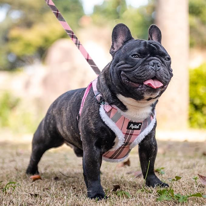 PUPTECK No Pull Dog Harness and Leash Set Reflective No Choke Step in Puppy Halter for XS Small and Medium Sized Dogs, Pink Plaid, Plush, L